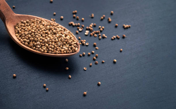 تصویر 4 از قیمت خرید تخم گشنیز خوش طعم با فروش عمده
